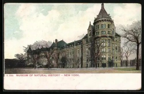 AK New York, NY, Museum of Natural History