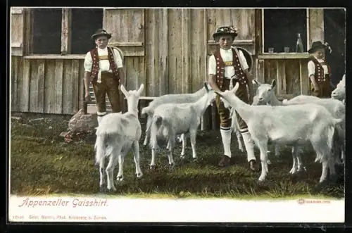 AK Appenzeller Gaishirten mit ihren Ziegen