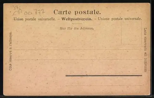 AK Bern, Simmenthalerin in Tracht