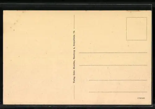 AK Hamburg, Segelschiffhafen, Totale