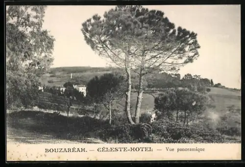 AK Bouzaréah, Celeste-Hotel, Vue panoramique
