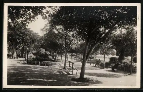 AK Oran, Promenade dans le Petit Vichy