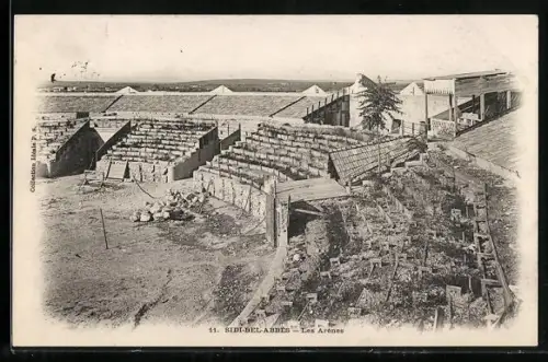 AK Sidi-Bel-Abbès, Les Arènes