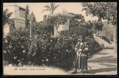 AK Alger, Jardin du Musée