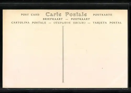 AK Constantine, Vue generale