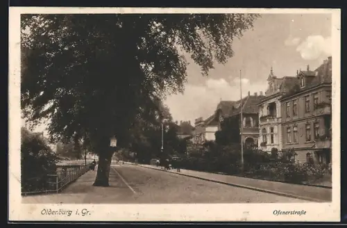 AK Oldenburg i. Gr., Ofenerstrasse
