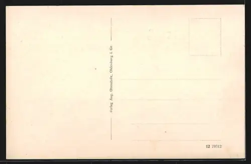 AK Oldenburg i. Gr., Ofenerstrasse