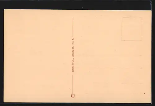 AK Oldenburg i. Gr., Elisabeth-Strasse, Wohnhäuser am Wasser