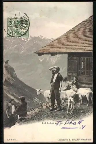 AK Kienthal, Ziegenhirte auf hoher Alp
