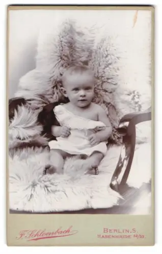 Fotografie F. Schloenbach, Berlin, Hasenheide 52/53, Baby auf Fell