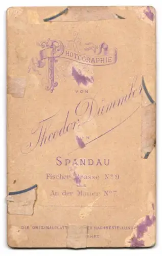 Fotografie Theodor Dümmler, Spandau, Fischerstrasse 9, Junge mit seinem kleinen Geschwisterkind