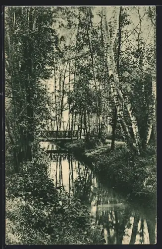 AK Franzensbad, Partie im Stadtwald