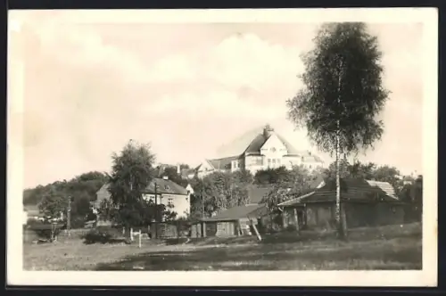 AK Sokolov, Panorama