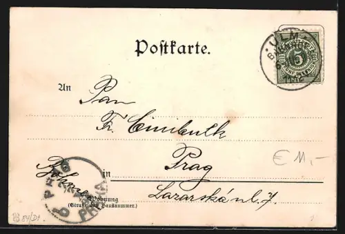 Lithographie Ulm / Donau, Teilansicht, Münster