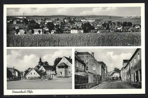 AK Stammbach /Obfr., Ortsansicht vom Feld aus, Ortspartie mit Brunnen und Blick auf die Kirche