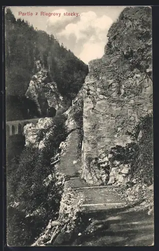 AK Riegrova stezka, Partie z Riegrovy stezky