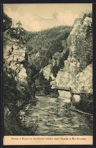 AK Riegrova stezka, Partie z Riegrovy turisticke stezky mezi Semily a Zel. Brodem