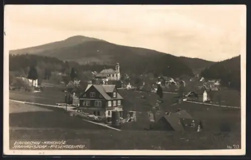 AK Harrachov /Krkonose, Celkowy pohled