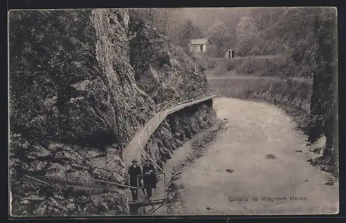 AK Riegrova stezka, Galerie na Riegrove stezce