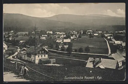 AK Neuwelt i. Rgb., Gast- u. Logirhaushaus zur Krone H. Ullmann und Ort aus der Vogelschau