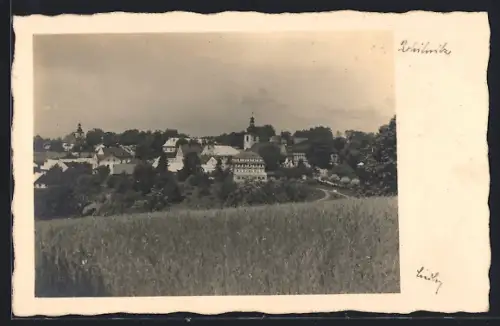 AK Rokytnice, Ortspanorama von einem Feld aus