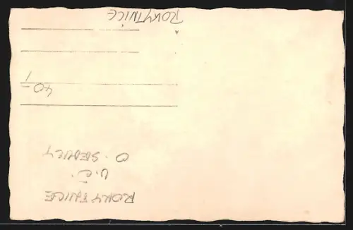 AK Rokytnice, Ortspanorama von einem Feld aus