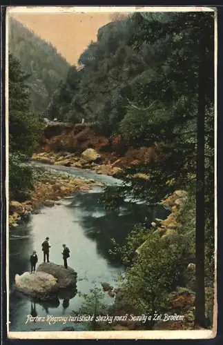 AK Semily, Partie z Riegrovy turisticke stezky mezi Semily a Zel. Brodem