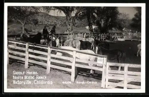 AK Victorville, CA, Saddle horses, North Verde Ranch