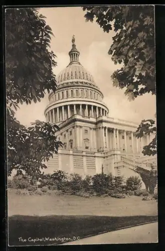 AK Washington D.C., The Capitol