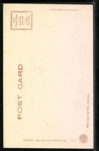 AK Washington D.C., The Capitol