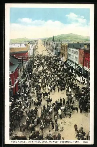 AK Columbia, TN, Mule Market 7th Street, looking west