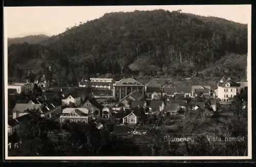 AK Blumenau, Vista parcial