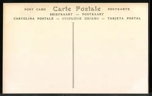 AK Constantine, La Place Nemours