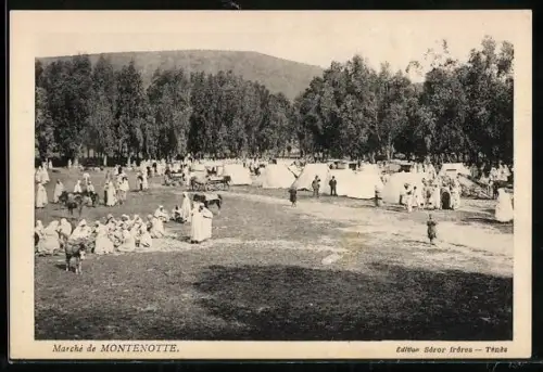 AK Montenotte, Le Marché