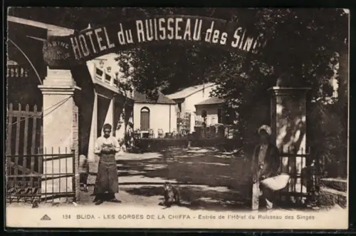 AK Blida, Les Gorges de la Chiffa, Entrée de l`Hotel du Ruisseau des Singes