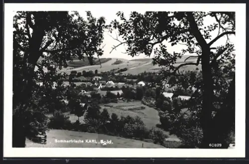 AK Drassmarkt, Karl, Ortsansicht