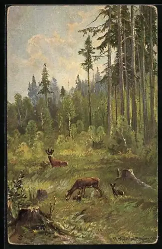 Künstler-AK M. Müller jun.: Waldidyll mit Rehen