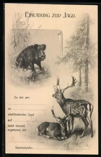 Künstler-AK Jagdeinladung, Wildschwein, Damwild