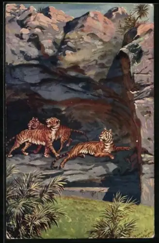 AK Rom, Zoologischer garten, Tiger