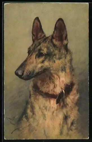 Künstler-AK Alsatian Wolf Dog, Elsässer Schäferhund