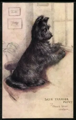 Künstler-AK Skye Terrier Welpe am Fenster