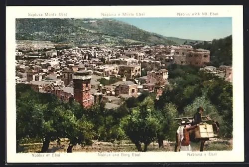 AK Nablus, Panorama with Mt. Ebal