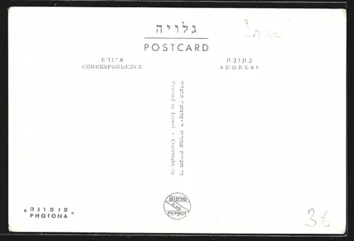 AK Haifa, The Municipality