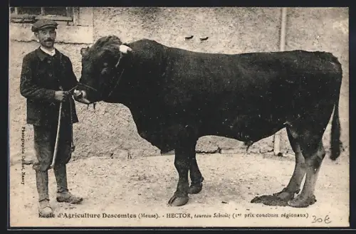 AK Descomtes, Ecole d`Agriculture, Hector, taureau Schwitz, 1er prix concours régionaux, Viehzucht