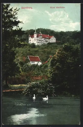 AK Ilsenburg i. H., Hotel Waldhöhe
