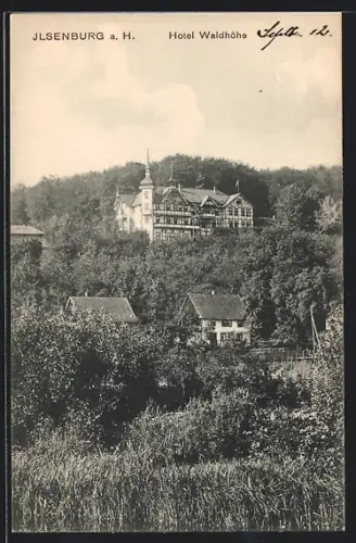 AK Ilsenburg am Harz, Hotel Waldhöhe