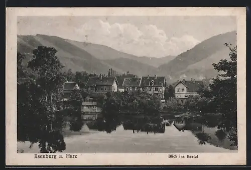AK Ilsenburg a. Harz, Blick ins Ilsetal