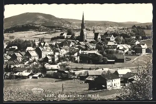 AK Zwiesel / Bayr. Wald, Gesamtansicht