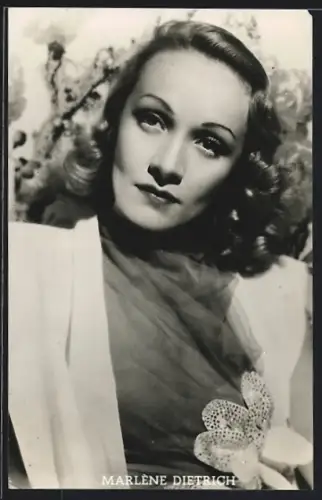 AK Schauspielerin Marlene Dietrich mit Tüllbluse