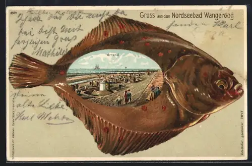 Passepartout-Lithographie Wangeroog, Strandpartie, Flunder